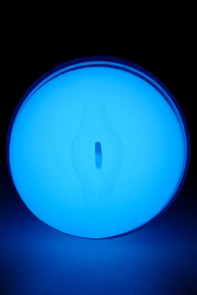 Kiiroo Glow in the Dark Feel 9.3" Stroker — image 9 of 10