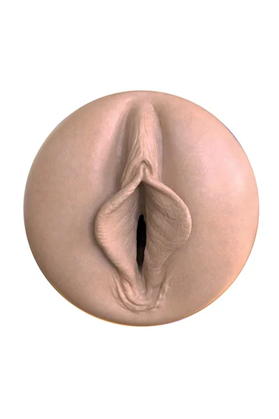 FleshLight Boost Bang 9.75" Stroker — image 13 of 15