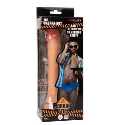 working stiff the cabana boy