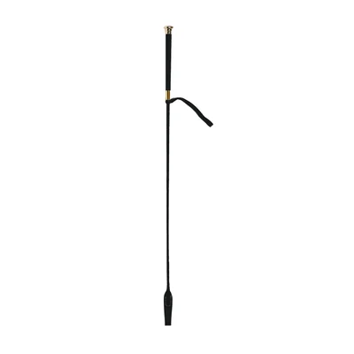 riding crop with brass end