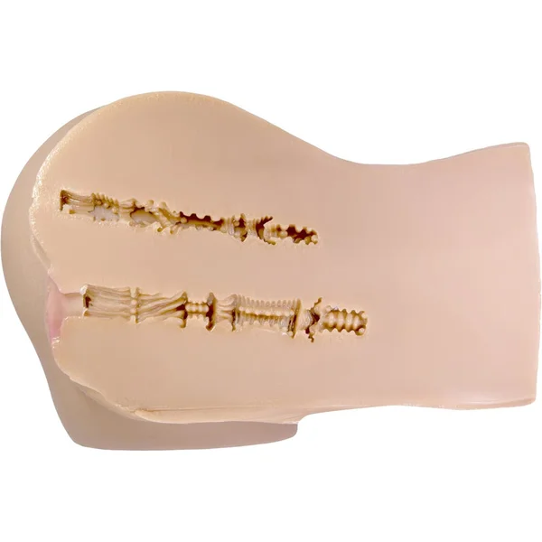 CalExotics Stroke It® Life Size Pussy & Ass Masturbator — image 4 of 5