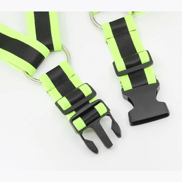 Love In Leather Bulldog Brace — image 3 of 4