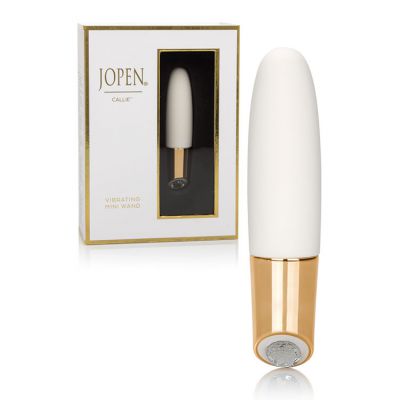 Jopen USB Rechargeable Luxury 5 Massager