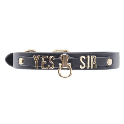 love in leather yes sir collar