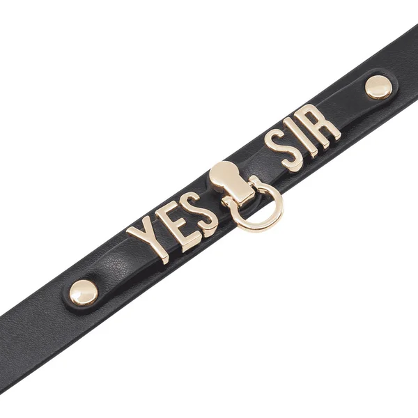 Love In Leather Yes Sir Collar — image 2 of 2