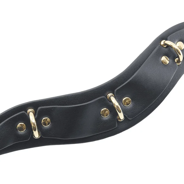 Love In Leather Posture Collar with 3 Rings — image 2 of 2