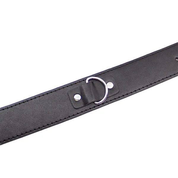 Love In Leather Faux Leather Unlined Collar and Lead