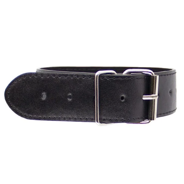 Love In Leather Faux Leather Unlined Collar and Lead