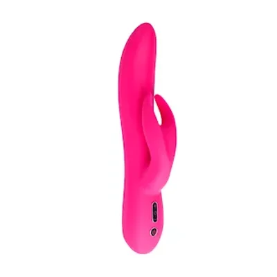 pronged rabbit vibrator