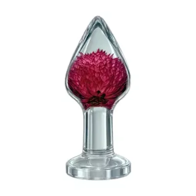 gomphrena globosa anal plug