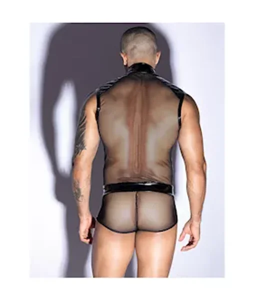 Fancy Dress Mesh Top And Underwear — image 4 of 5