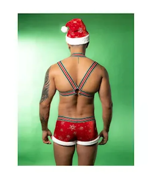 Santa's Helper Costume — image 4 of 5