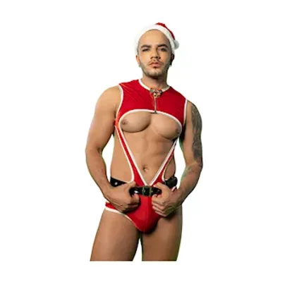 sexy santa costume