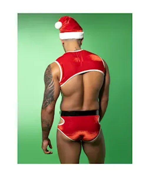 Sexy Santa Costume — image 3 of 4