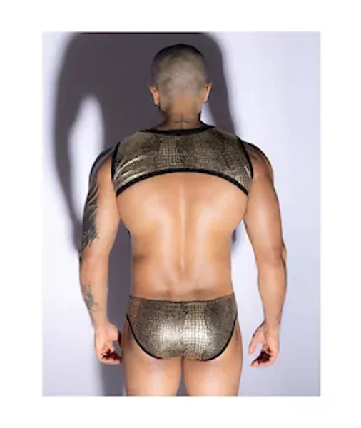 Golden Snake Top And Underwear Set — image 3 of 4