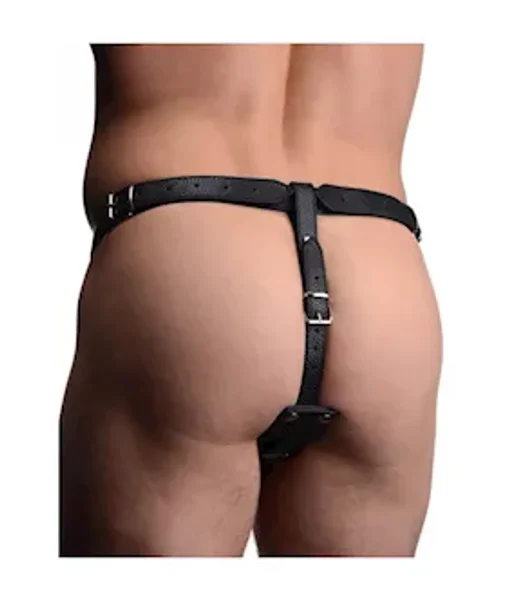 Male Harness With Silicone Butt Plug — image 6 of 6