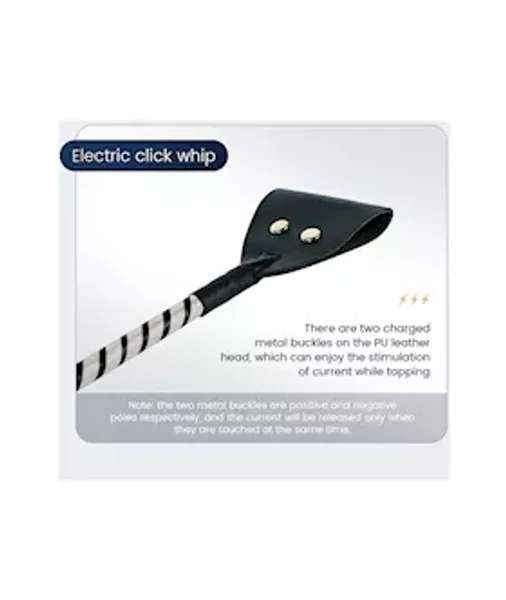 Passionate Electric Whip — image 8 of 10