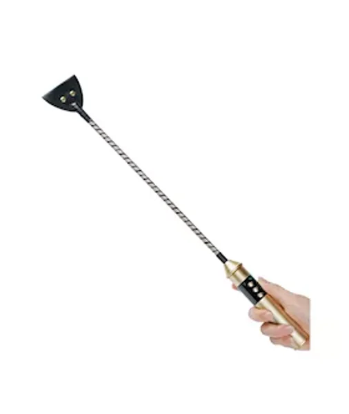 Passionate Electric Whip — image 2 of 10