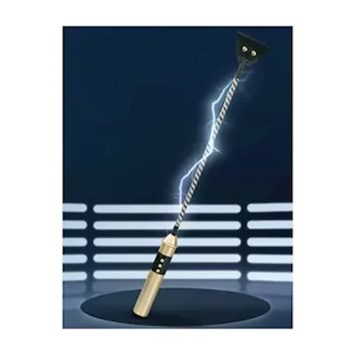passionate electric whip