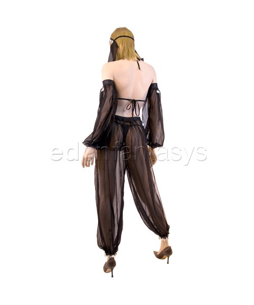 Arabian dancer costume