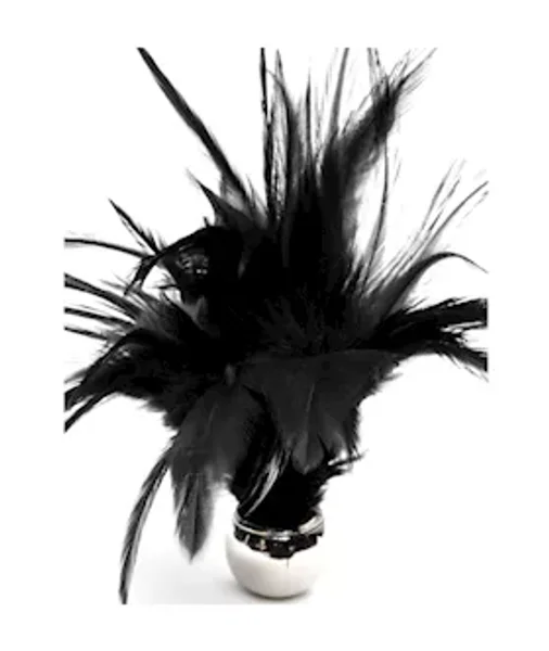Flirting Feathers — image 3 of 4