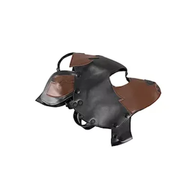 fetish collection dog mask