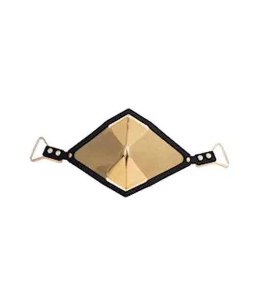Lockink Golden Punker Muzzle Gag Set — image 4 of 10