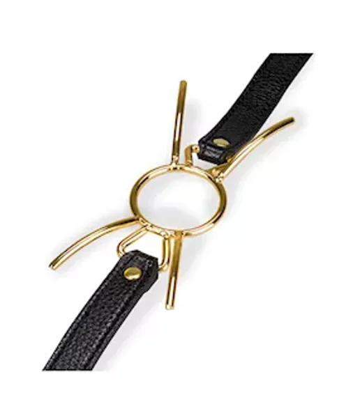 Golden Spider Gag — image 2 of 5
