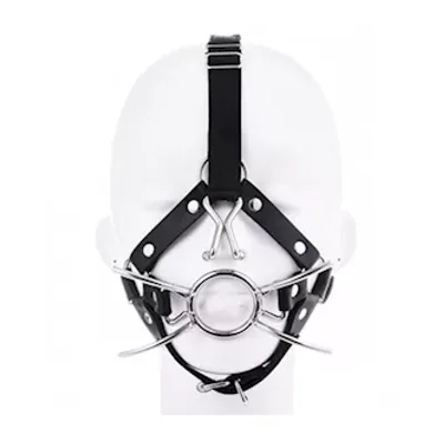 spider gag head harness