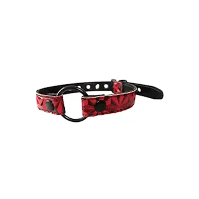 open wide pyramid pattern o ring gag