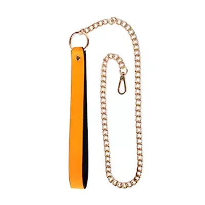 luminated leash with chain