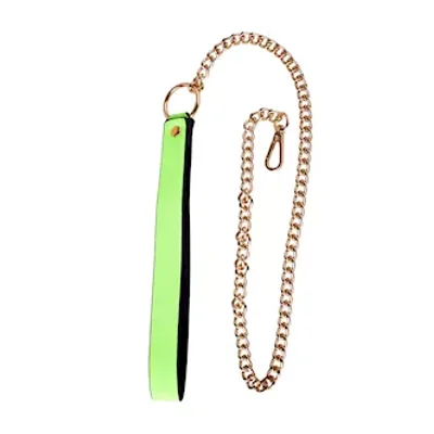 luminated leash with chain
