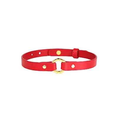 orgasmic o ring choker