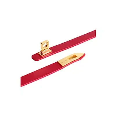 elegant collar with leash