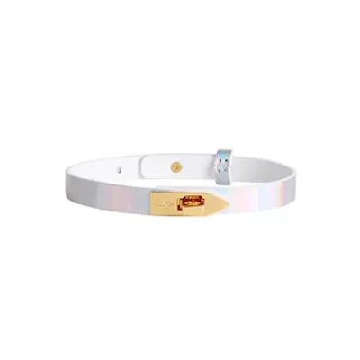 elegant collar with leash