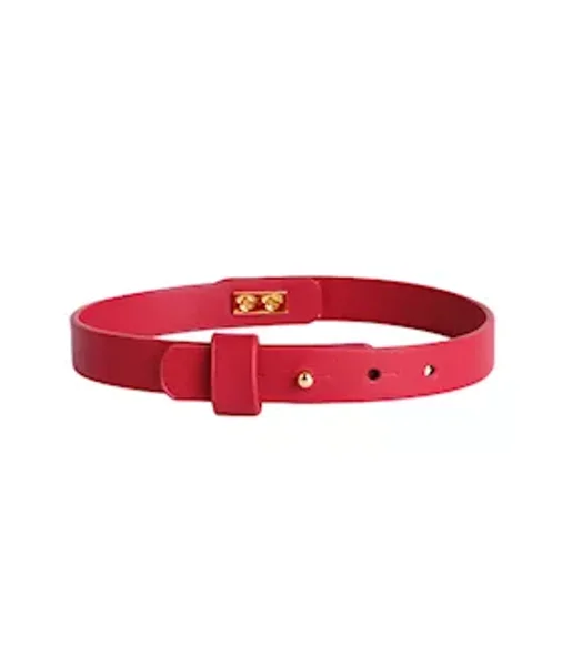 Elegant Collar With Leash — image 5 of 8