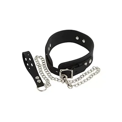 bad kitty silicone collar and leash