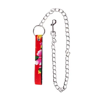 north east leash with chain