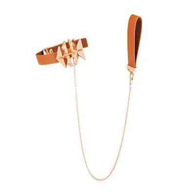 lockink posture collar