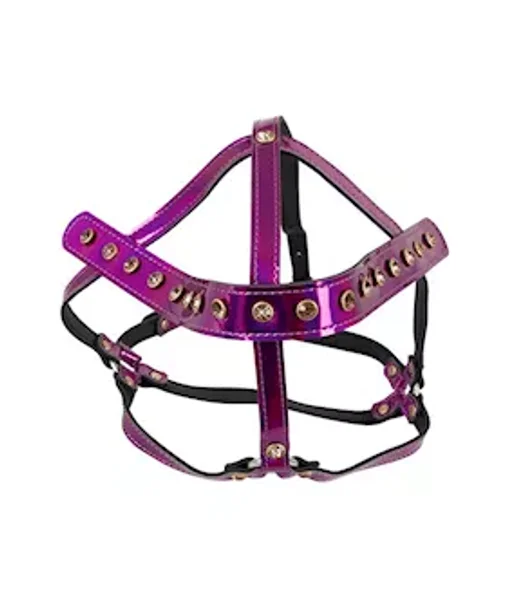 Bad Kitty Give Em Head Harness — image 2 of 2