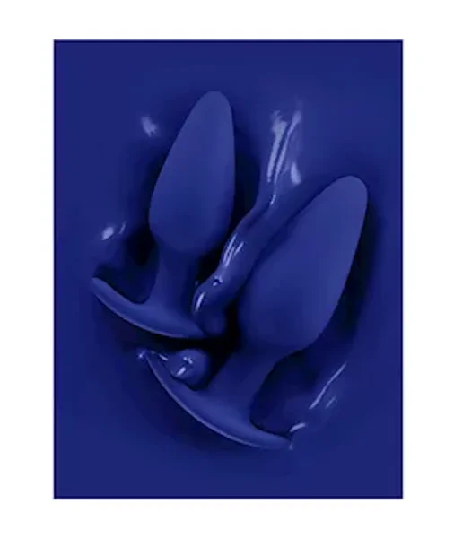Regii Butt Plug Set — image 3 of 3