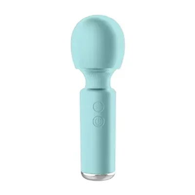 lil quiver wand vibrator