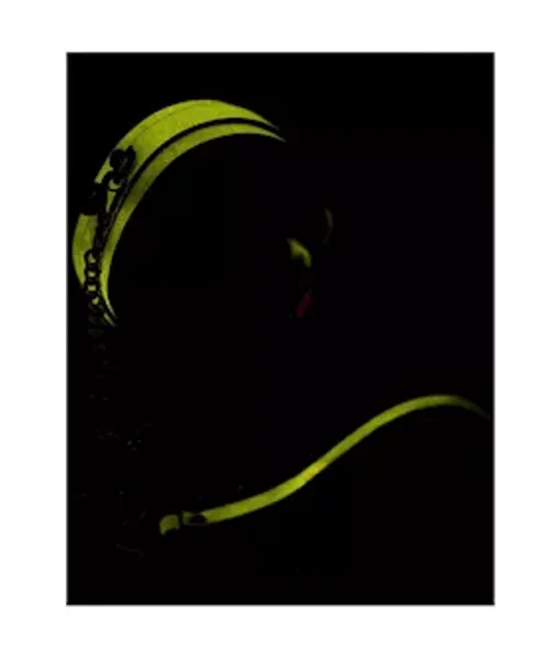 Luminated Glow In The Dark Collar — image 3 of 5