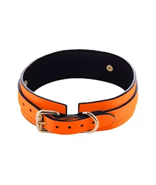 Luminated Glow In The Dark Collar — image 4 of 5