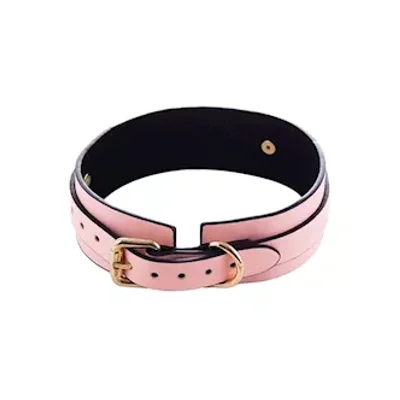 luminated glow in the dark collar