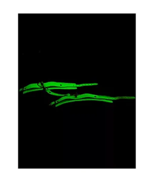 Luminated Glow In The Dark Handcuffs — image 6 of 6