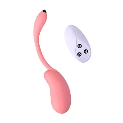 remote controlled dolphin love egg