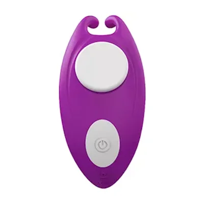 remote controlled panty vibe