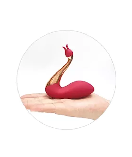 Swan Interchangeable Dual Vibrator — image 4 of 4