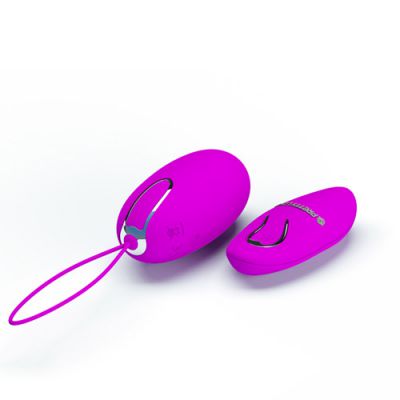 Joyce remote control bullet